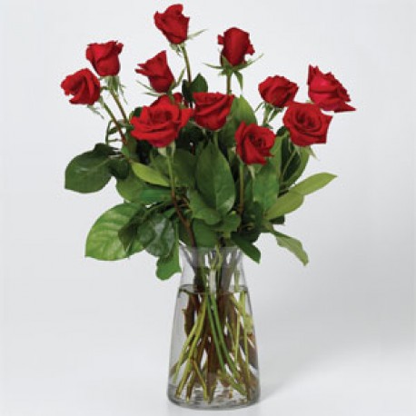 D2F Standard Product 55